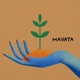 Havata feat A Chilla Sona Shiroyan Zhanna Davtyan Single