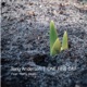 One Fine Day Single