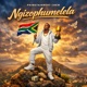 Ngizophumelela Single