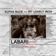 Labari Story Single