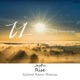 Rise Sylent Rain Remix Single
