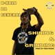 Shining Grinding Single