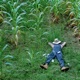 Run Away From Me Single