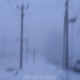 winter evening Single
