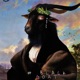 Black Goat Single