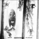 KNOWN Versions EP