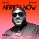Africa Now February 2026 DJ Mix