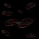 TRASH SCAVENGER Single