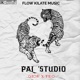 PAL STUDIO feat Teo Vanegas Single