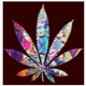 Smoking Single