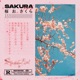Sakura Single