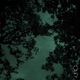 Sleep Tight Nightcore Instrumental Single