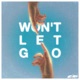 Won t Let Go Single