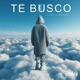 Te Busco Single