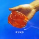 Sorry You Were Saying SYWS