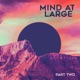 Mind at Large Pt II