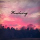 Wandering Single