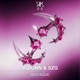 Destaque Single