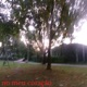 no meu coração Single