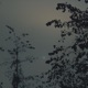 Beside the Moon