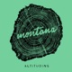 Altitudine Single