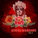 Sound Hording Vol 2