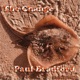 The Change Single
