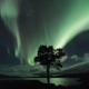 Sky Full of Aurora Single