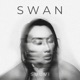 Swan Single