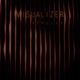 Visualizer Single