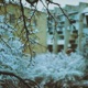 Сніг feat keeroo Single