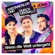 Wenn die Welt untergeht Single