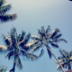 Malibu Single