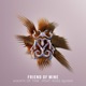 Friend Of Mine feat Ross Quinn Single
