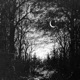 Abenddämmerung Single