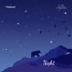 Night Single