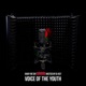 Voice Of The Youth