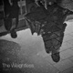 Rain Single