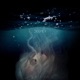 Deeper Single