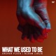 What We Used To Be feat Jolie Single