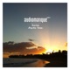 Pacific Time Single