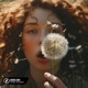Dandelions Single