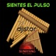Sientes El Pulso Single