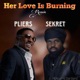 Her Love Is Burning Remix Single