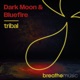 Tribal Remixes Single