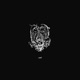 Xtc Single