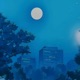 Mystery Of The Night Single
