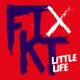 Little Life Single