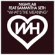 What s the Meaning feat Samantha Seth Single