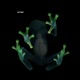 amphibian Single